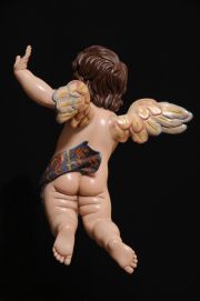 Detalles de la anatomía posterior del ángel